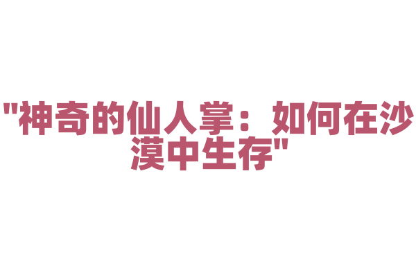 "神奇的仙人掌：如何在沙漠中生存"